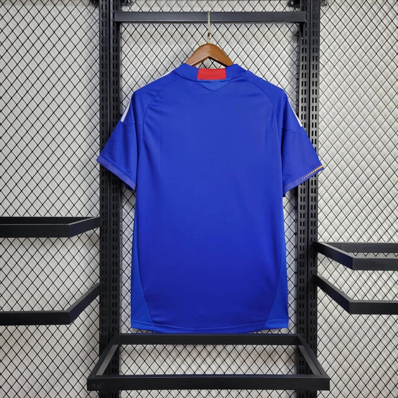 Koszulka domowa Japonia 2010