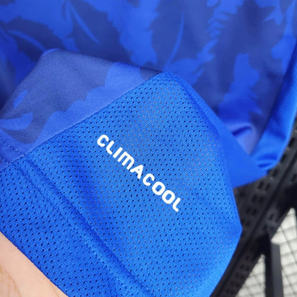 Koszulka domowa Japonia 2010