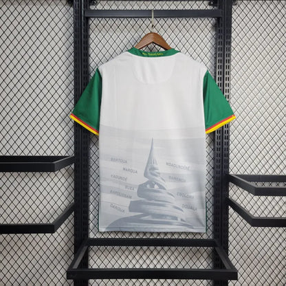 Koszulka trzecia Kamerun 2025