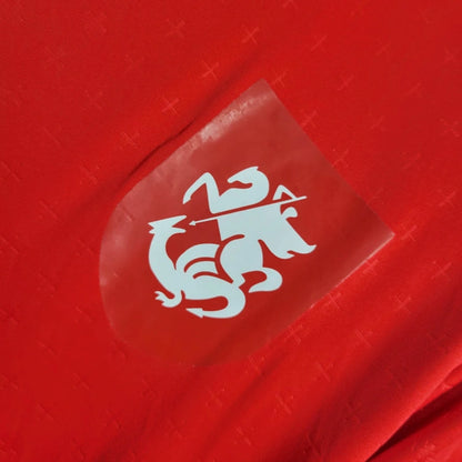 Koszulka domowa Gruzja 2024